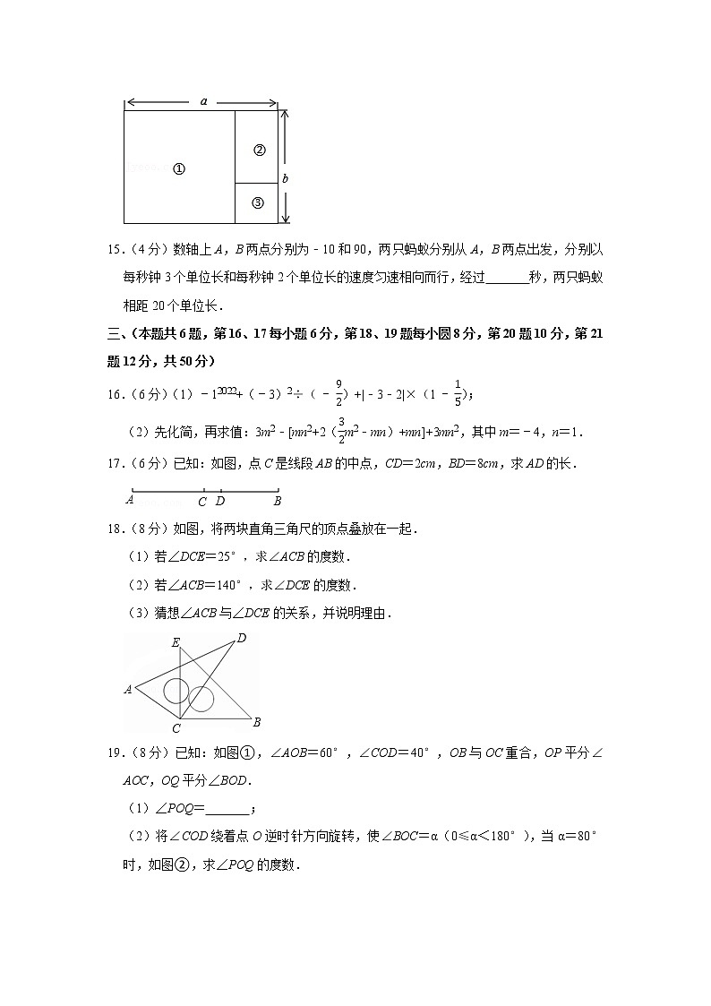 2021-2022学年安徽省合肥市肥西县七年级（上）期末数学试卷03