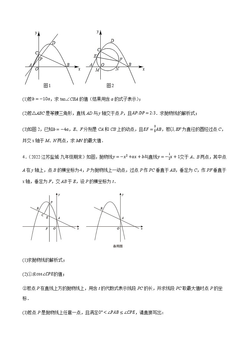 苏科版九年级数学上学期期末复习专题 二次函数与几何压轴问题大题专练第2页