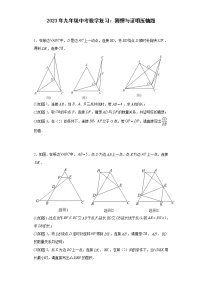 2023年九年级中考数学复习：猜想与证明压轴题