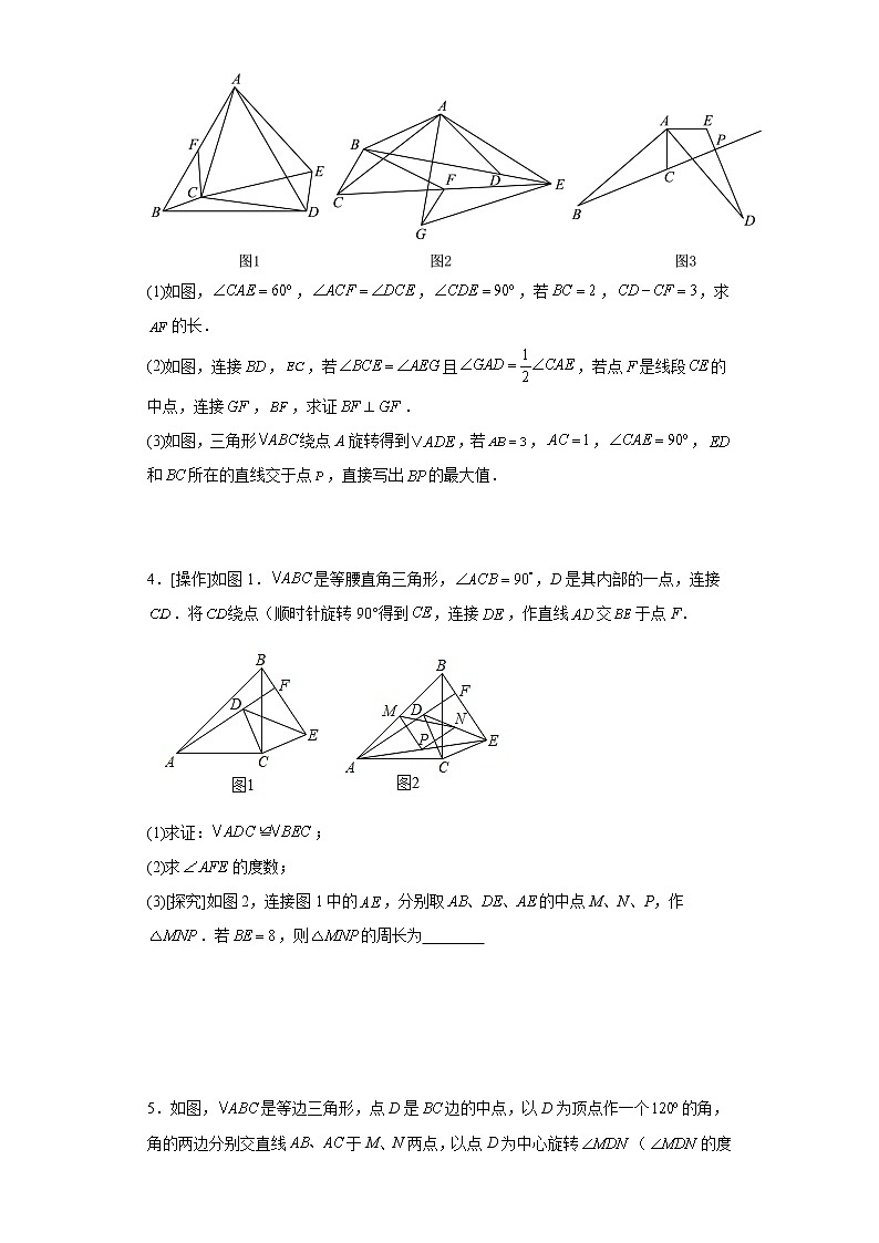 2023年九年级中考数学复习：几何探究压轴题（线段问题）第2页