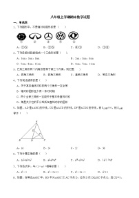 黑龙江省鸡西市密山市2022年八年级上学期期末数学试题及答案