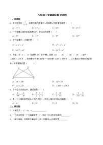 吉林省白山市江源区2022年八年级上学期期末数学试题及答案