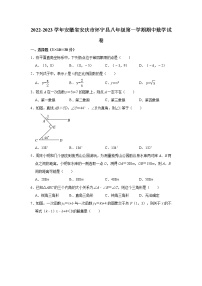 安徽省安庆市怀宁县2022-2023学年八年级（上）期中数学试卷(解析版)