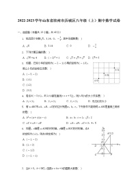 山东省济南市历城区2022-2023学年八年级（上）期中数学试卷(解析版)