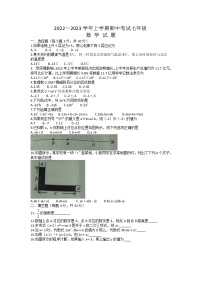 河南省漯河市临颍县2022-2023学年七年级上学期期中考试数学试题