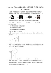 山东省烟台市龙口市2022-2023学年七年级上学期期中数学试卷（五四学制）