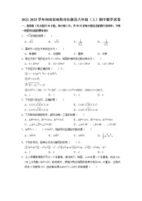 河南省南阳市社旗县2022-2023学年八年级上学期期中考试数学试卷