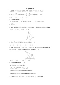 河南省南阳市桐柏县2022-2023学年八年级上学期期中数学试题