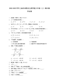 上海市奉贤区五四学校2022-2023学年八年级上学期期中数学试卷+