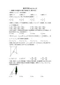 安徽省合肥市寿春中学2022—2023学年九年级上学期期中考试数学试题卷(无答案)