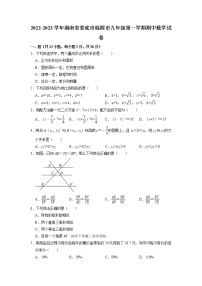 湖南省娄底市涟源市2022-2023学年九年级上学期期中数学试卷