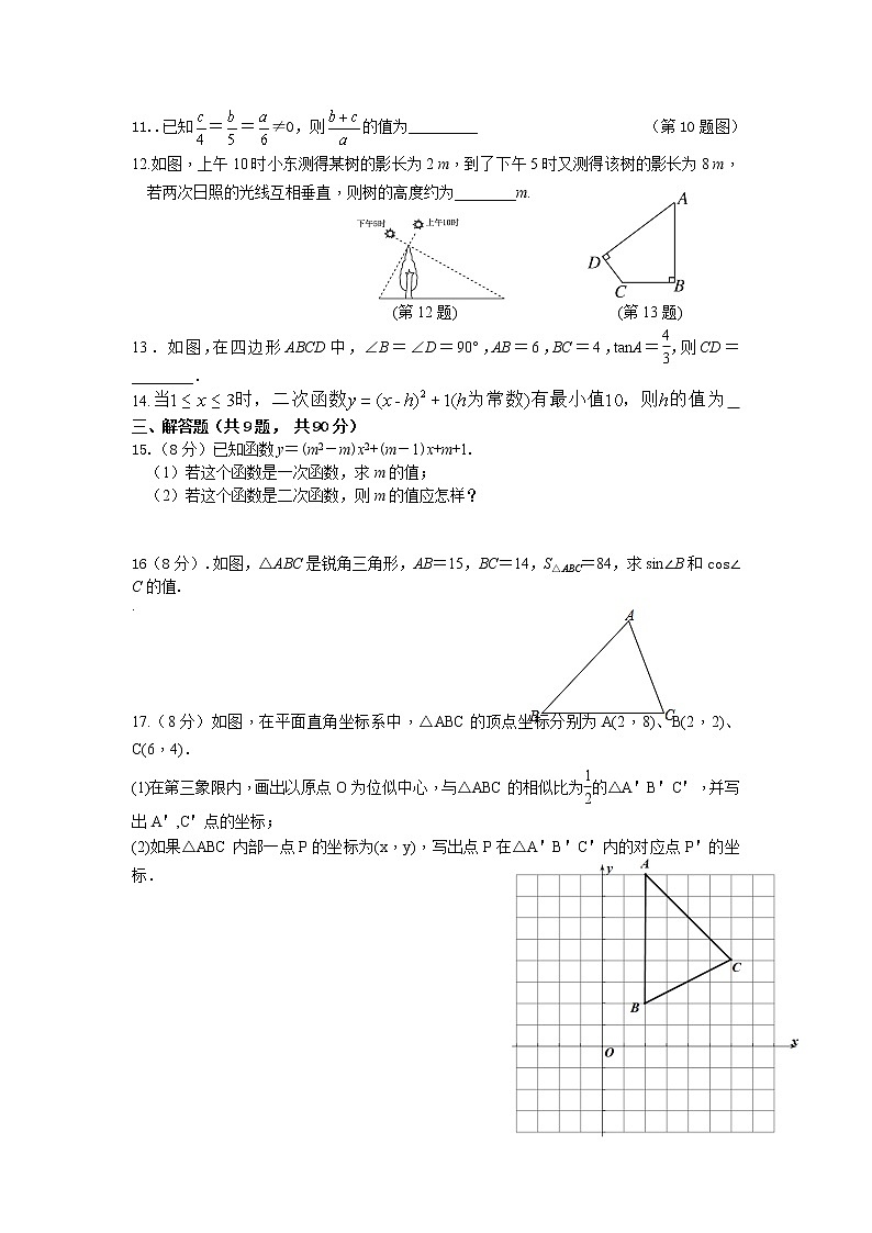 安徽省涡阳县曹市中学 2022-2023学年九年级上学期期中数学试卷第2页