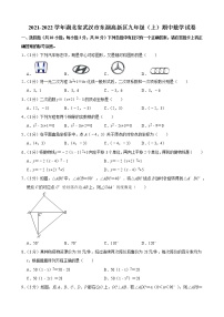 2021-2022学年湖北省武汉市东湖高新区九年级（上）期中数学试卷