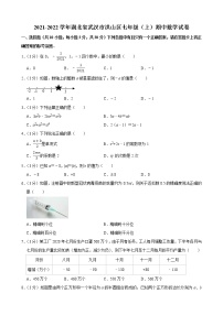 2021-2022学年湖北省武汉市洪山区七年级（上）期中数学试卷