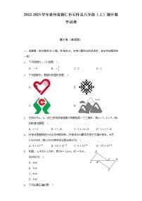 2022-2023学年贵州省铜仁市石阡县八年级（上）期中数学试卷（含解析）