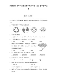 广东省东莞市东莞中学2022-2023学年上学期八年级期中数学试卷(含答案)