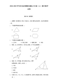 河北省邯郸市魏县2022-2023学年八年级上学期期中数学试卷 (含答案)