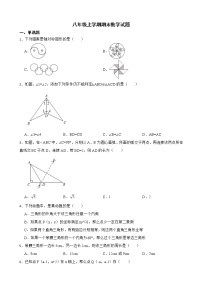 安徽省合肥市长丰县2022年八年级上学期期末数学试题及答案