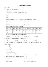 广东省揭阳市普宁市2022年八年级上学期期末数学试题及答案