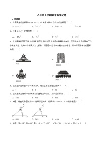 广东省云浮市2022年八年级上学期期末数学试题及答案