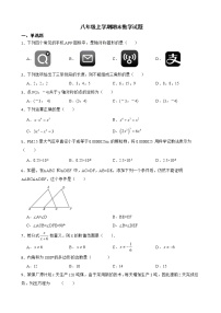 广东省湛江市徐闻县2022年八年级上学期期末数学试题及答案