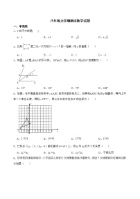 山东省济南市济阳区2022年八年级上学期期末数学试题及答