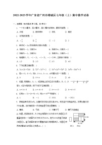 2022-2023学年广东省广州市增城区七年级（上）期中数学试卷（含解析）