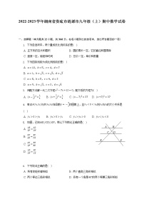 2022-2023学年湖南省娄底市涟源市九年级（上）期中数学试卷（含解析）