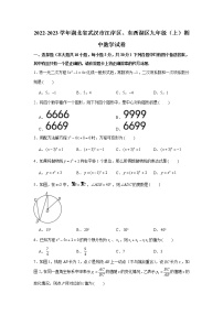 湖北省武汉市江岸区、东西湖区2022-2023学年九年级上学期期中数学试卷(含答案)