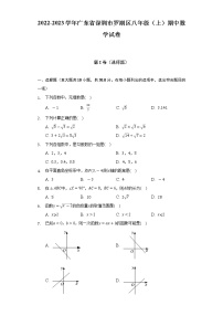 2022-2023学年广东省深圳市罗湖区八年级（上）期中数学试卷（含解析）