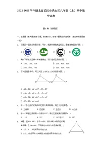 2022-2023学年湖北省武汉市洪山区八年级（上）期中数学试卷（含解析）