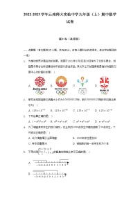 2022-2023学年云南师大实验中学九年级（上）期中数学试卷（含解析）