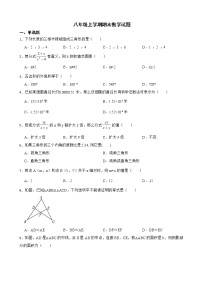 广东省潮州市潮安区2022年八年级上学期期末数学试题及答案