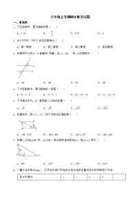 广东省梅州市兴宁市2022年八年级上学期期末数学试题及答案