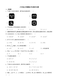 广东省韶关市新丰县、乳源县2022年八年级上学期期末考试数学试题及答案