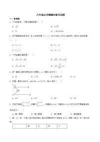 广东省深圳市宝安区2022年八年级上学期期末数学试卷及答案