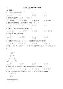 山东省济南市槐荫区2022年八年级上学期期末数学试题及答案