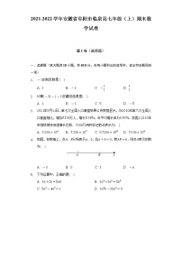 2021-2022学年安徽省阜阳市临泉县七年级（上）期末数学试卷（含解析）