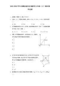 2021-2022学年安徽省宿州市埇桥区九年级（上）期末数学试卷（含解析）