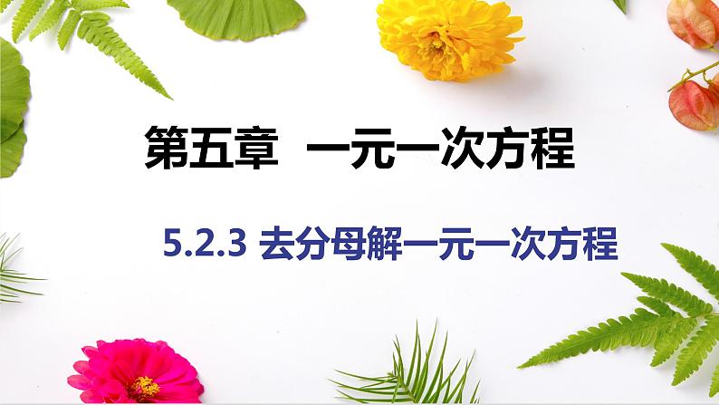 5.2.3 去分母解一元一次方程 课件  2022—2023学年北师大版数学七年级上册01