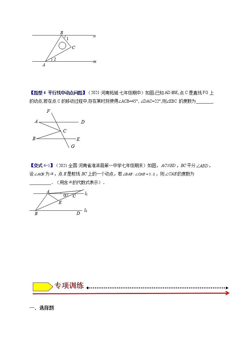 5.3平行线的性质（题型专攻）-最新七年级数学下册章节同步实验班培优题型变式训练（人教版）03