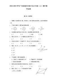 2022-2023学年广东省韶关市新丰县八年级（上）期中数学试卷(解析版)