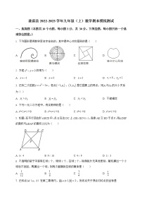 河南省淮滨县2022-2023学年九年级（上）数学期末模拟测试(解析版)