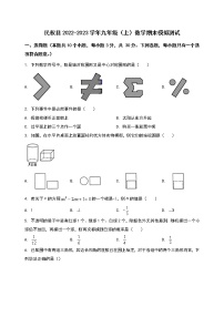 河南省民权县2022-2023学年九年级（上）数学期末模拟测试(解析版)