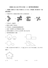 河南省商城县2022-2023学年九年级（上）数学期末模拟测试(解析版)