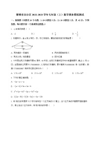 河北省邯郸市丛台区2022-2023学年七年级（上）数学期末模拟测试(解析版)