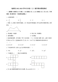 河北省临漳县2022-2023学年七年级（上）数学期末模拟测试(解析版)