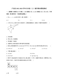 河北省卢龙县2022-2023学年七年级（上）数学期末模拟测试(解析版)