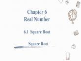6.1 第3课时 平方根square root 课件
