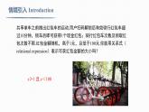9.1.1 不等式及其解集Inequality and its solution set 課件